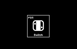 NINTENDO